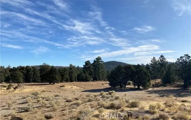 Big Bear City, CA 92314,0 Pine Lane