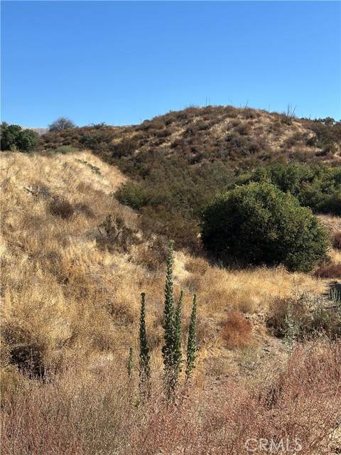 0 Koontz Road, Agua Dulce, CA 91390