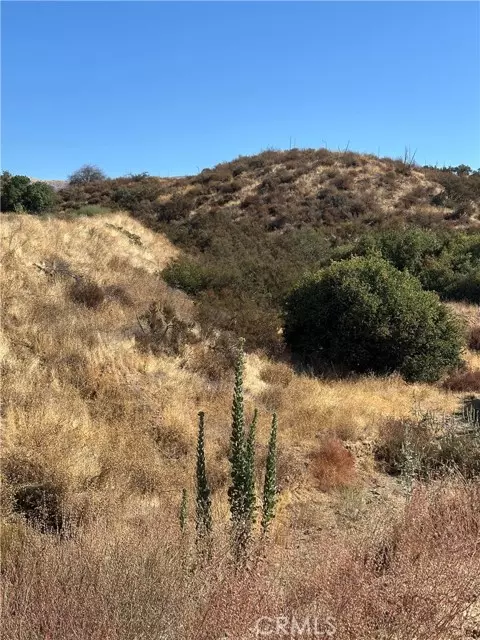 Agua Dulce, CA 91390,0 Koontz Road