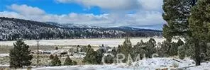 0 Ponderosa Ranch Road, Big Bear City, CA 92314