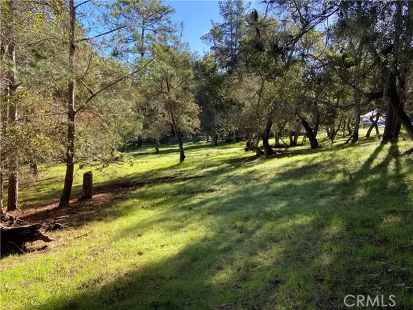 Cambria, CA 93428,0 Kenneth