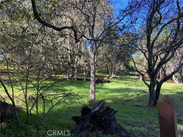 Cambria, CA 93428,0 Kenneth