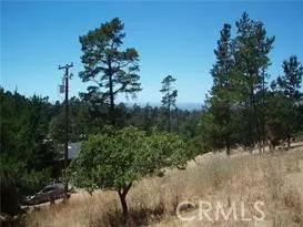 Cambria, CA 93428,1650 Pierce