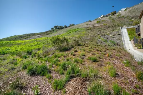 Pismo Beach, CA 93449,991 Canyon Lane