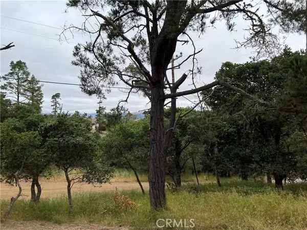 Cambria, CA 93428,0 Norton Lane