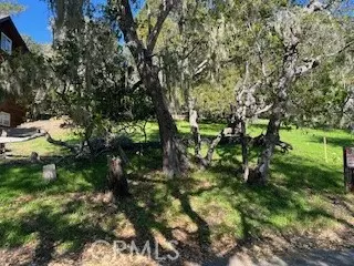 Cambria, CA 93428,0 Astor Avenue