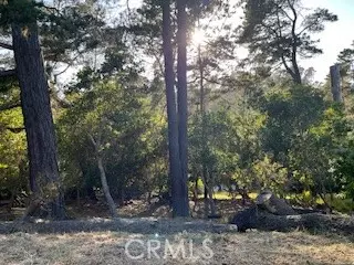 Cambria, CA 93428,0 Bradford Road