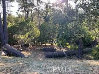 0 Bradford Road, Cambria, CA 93428