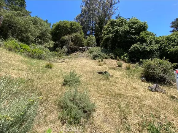 Cambria, CA 93428,0 Kent Street