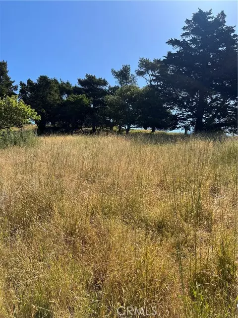 Cambria, CA 93428,0 Pierce Avenue