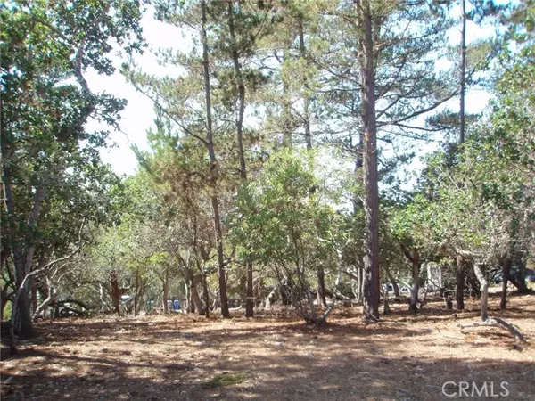 Cambria, CA 93428,1865 Dreydon Avenue