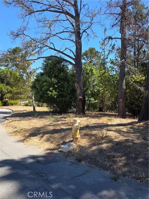 Cambria, CA 93428,2422 Malvern Street