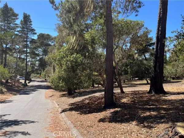 Cambria, CA 93428,34 Kenneth