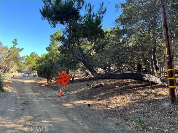 Cambria, CA 93428,1818 Tweed Avenue