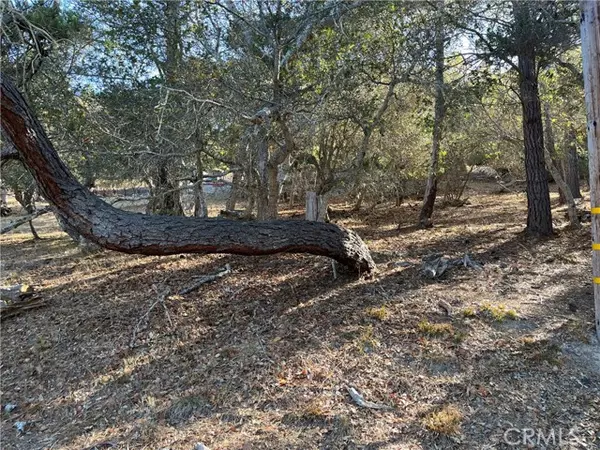 Cambria, CA 93428,1818 Tweed Avenue