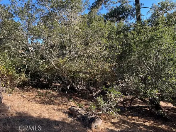 Cambria, CA 93428,17 Bradford Road