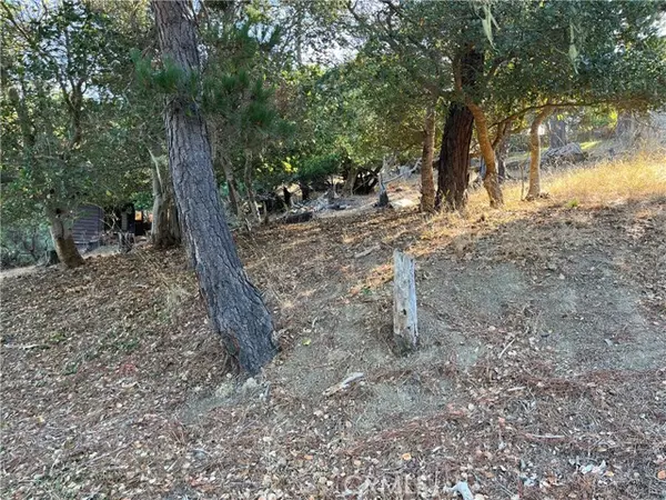 Cambria, CA 93428,1670 Burton Drive