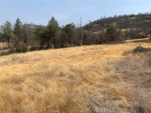 Butte Valley, CA 95965,3923 Dry Creek Road