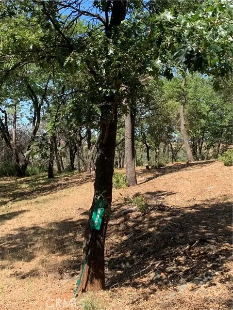 Paradise, CA 95969,4896 Malibu Drive