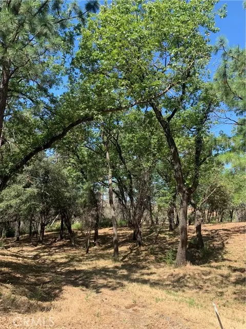 Paradise, CA 95969,4896 Malibu Drive