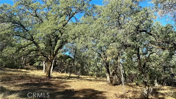 Yankee Hill, CA 95965,0 Rich Gulch Road