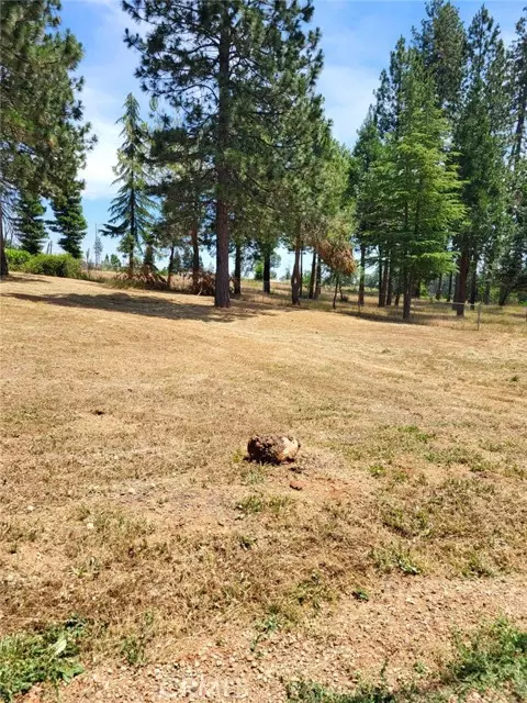 Paradise, CA 95969,1610 Sawpeck Way