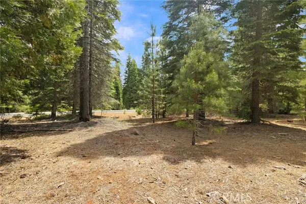 Lake Almanor, CA 96137,208 Blue Fox Drive