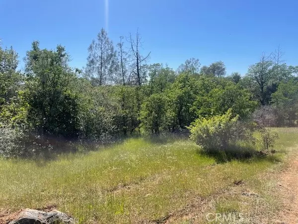 Oroville, CA 95966,401 Hershel Lane