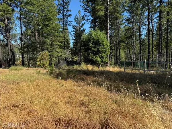 13477 Cirby Creek Road, Oroville, CA 95965