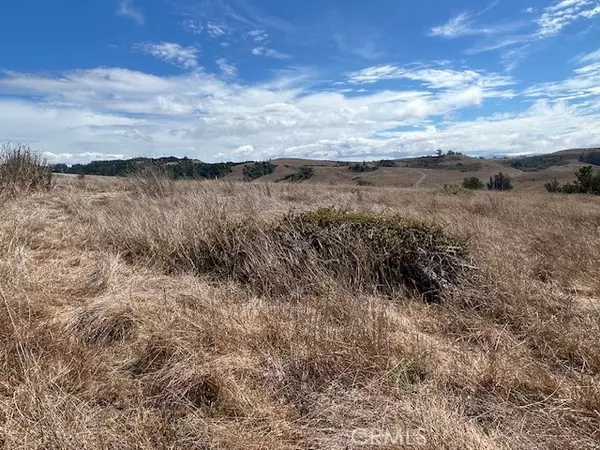 Bodega, CA 94922,330 Valley Ford Freestone Road