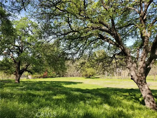 Chico, CA 95928,0 Chico Canyon Road