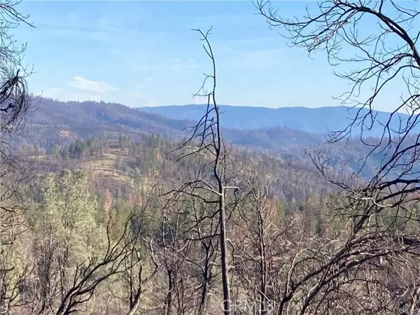 Berry Creek, CA 95916,191 Ruiz Road