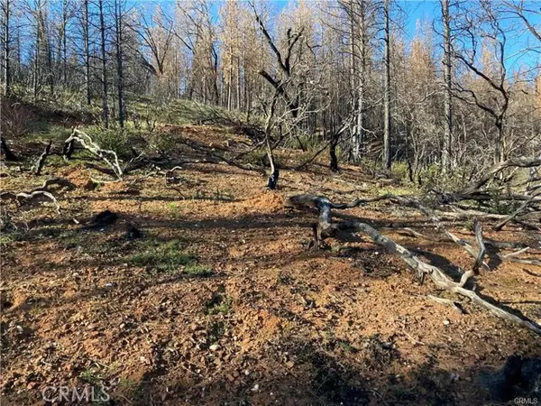 Berry Creek, CA 95916,191 Ruiz Road