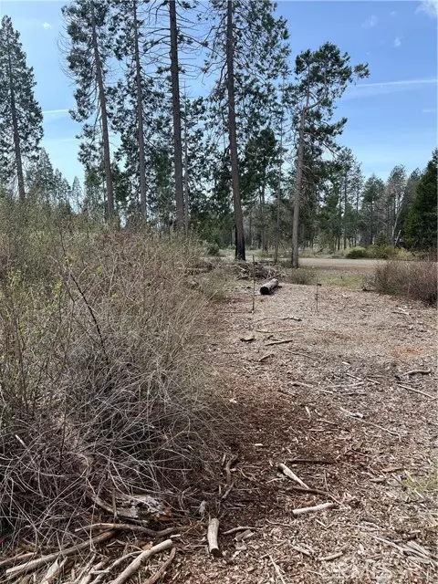 Magalia, CA 95954,13924 Chestnut Circle