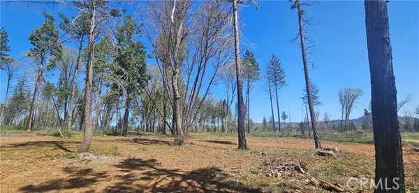 Magalia, CA 95954,0 Skyway