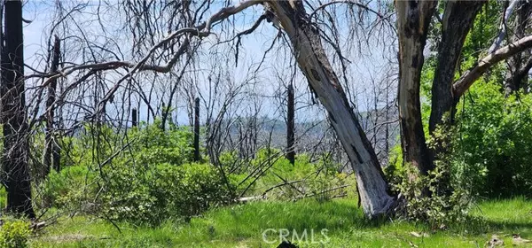Berry Creek, CA 95916,51 Horseshoe Trail