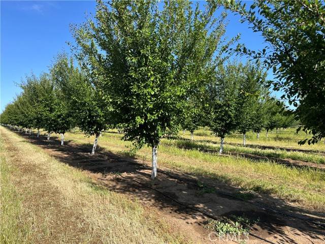 Red Bluff, CA 96080,0 Volcano Way