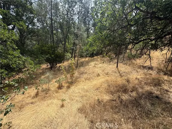 Corning, CA 96021,16295 Hillcrest Drive