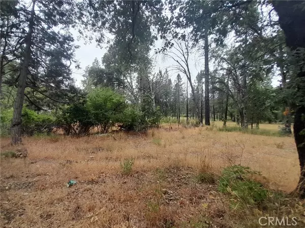 Oroville, CA 95965,3979 Yellow Wood Road