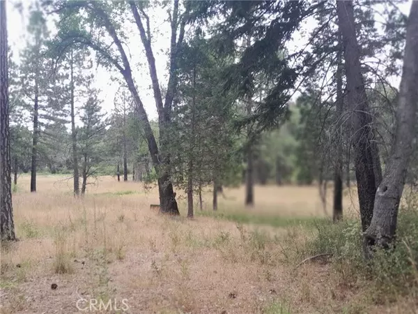 Oroville, CA 95965,3979 Yellow Wood Road