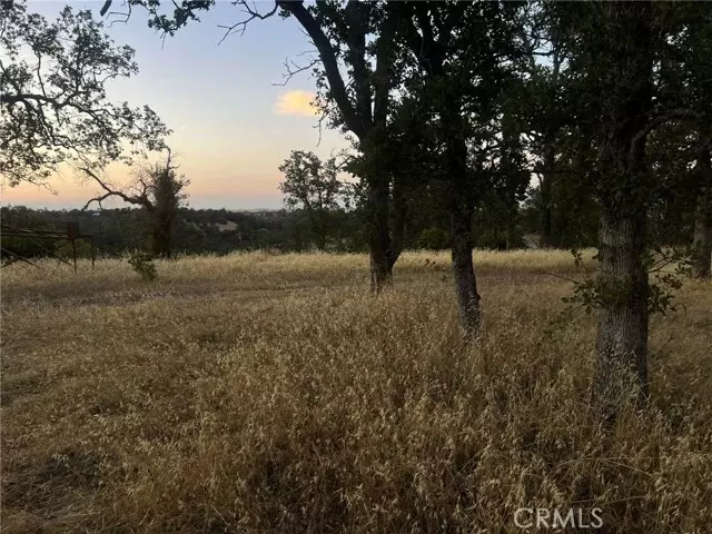 6915 Remunda Road, Corning, CA 96021