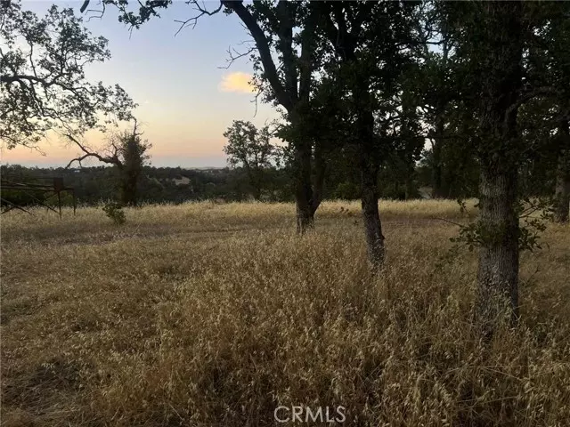 Corning, CA 96021,6915 Remunda Road