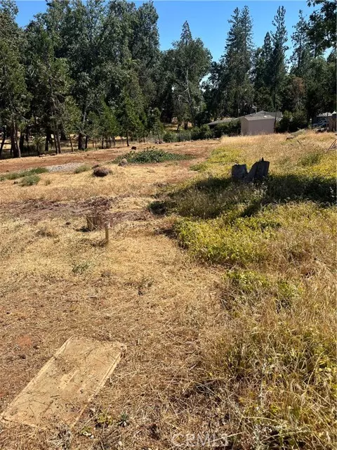 Magalia, CA 95954,13595 Babson Court