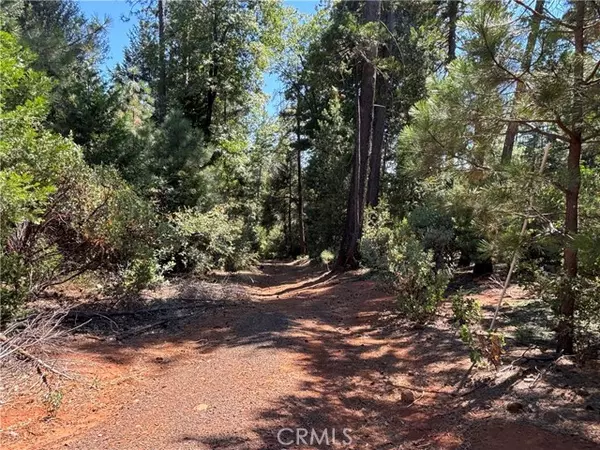 Magalia, CA 95954,0 Via De Maia