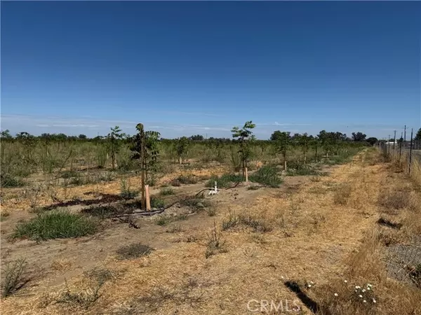 Corning, CA 96021,0 Mary Ave