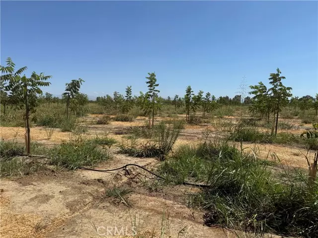 Corning, CA 96021,0 Mary Ave