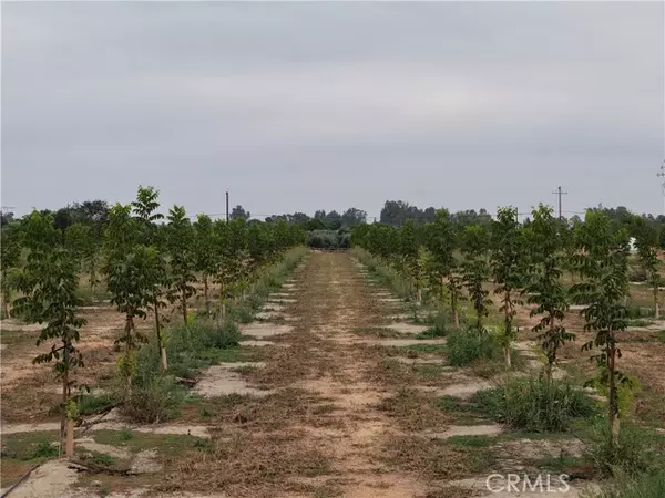 Corning, CA 96021,0 Loleta