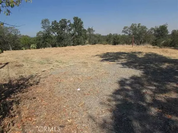 Corning, CA 96021,16368 Lariat Loop