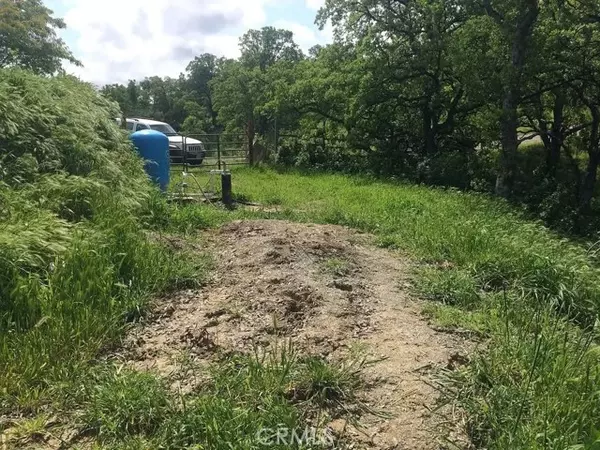 Corning, CA 96021,16368 Lariat Loop