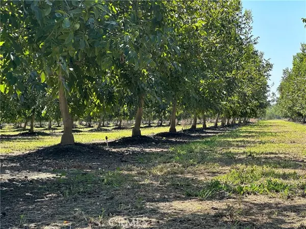 Corning, CA 96021,25392 Pennsylvania Avenue